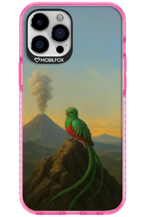 Birdy 2.0 - Apple iPhone 12 Pro Max