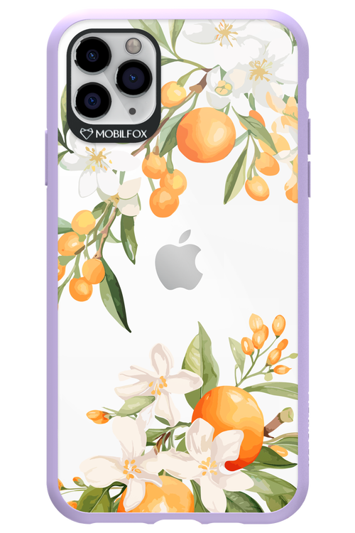 Amalfi Orange 2.0 - Apple iPhone 11 Pro Max