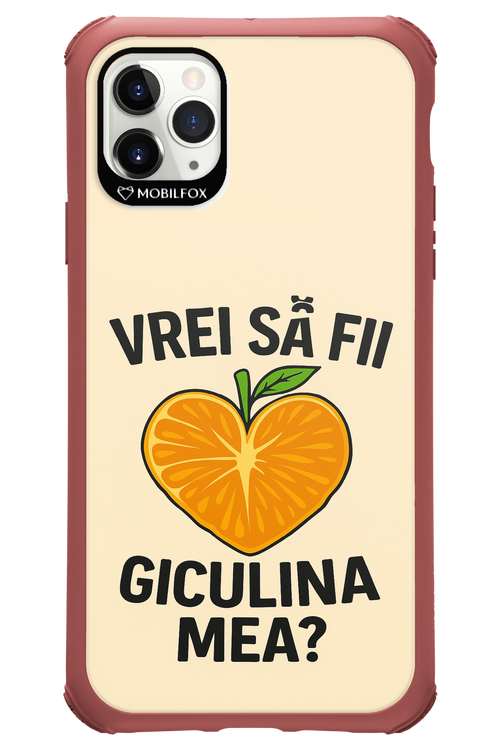 Design Clean 2.0 - Apple iPhone 11 Pro Max