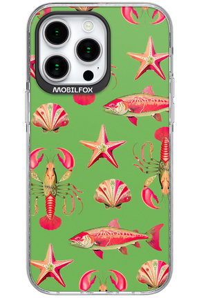 Sea Stars - Apple iPhone 15 Pro Max