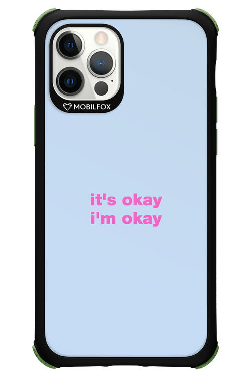 It_s Okay - Apple iPhone 12 Pro