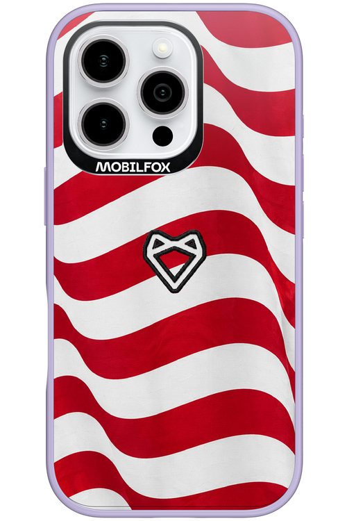 USA 2.0 - Apple iPhone 16 Pro