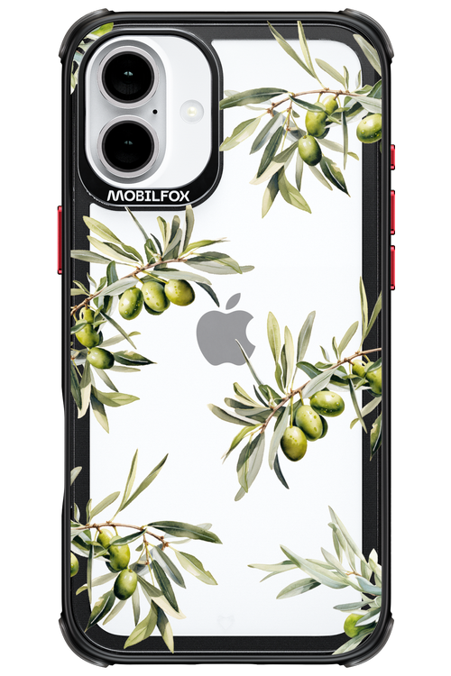 Olive Tree - Apple iPhone 16 Plus