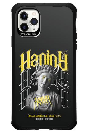 Haniny Icon (black) - Apple iPhone 11 Pro Max