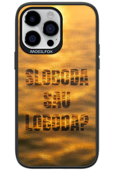 S or L - Apple iPhone 14 Pro Max