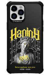 Haniny Icon (black) - Apple iPhone 12 Pro Max