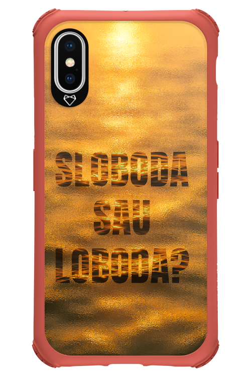 S or L - Apple iPhone X