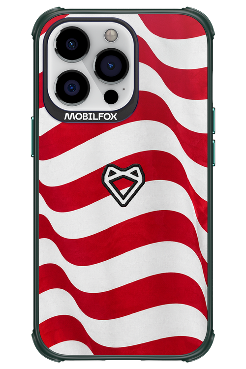 USA 2.0 - Apple iPhone 13 Pro