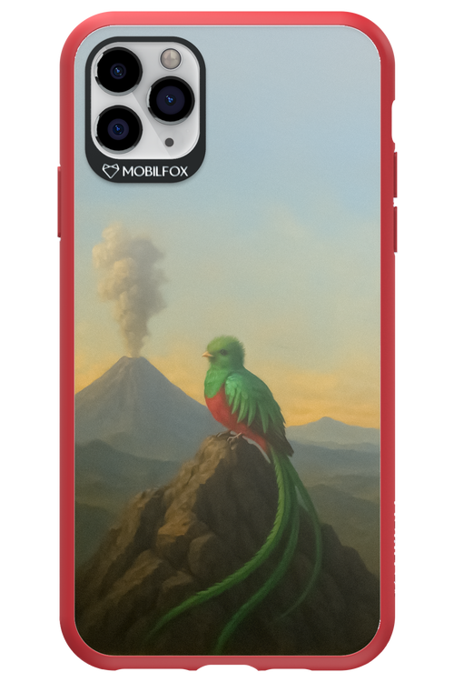 Birdy 2.0 - Apple iPhone 11 Pro Max