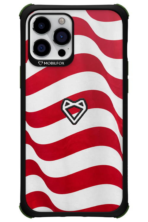 USA 2.0 - Apple iPhone 12 Pro Max