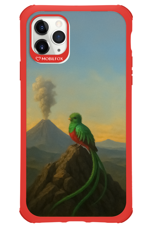 Birdy 2.0 - Apple iPhone 11 Pro Max