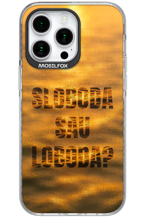 S or L - Apple iPhone 15 Pro Max