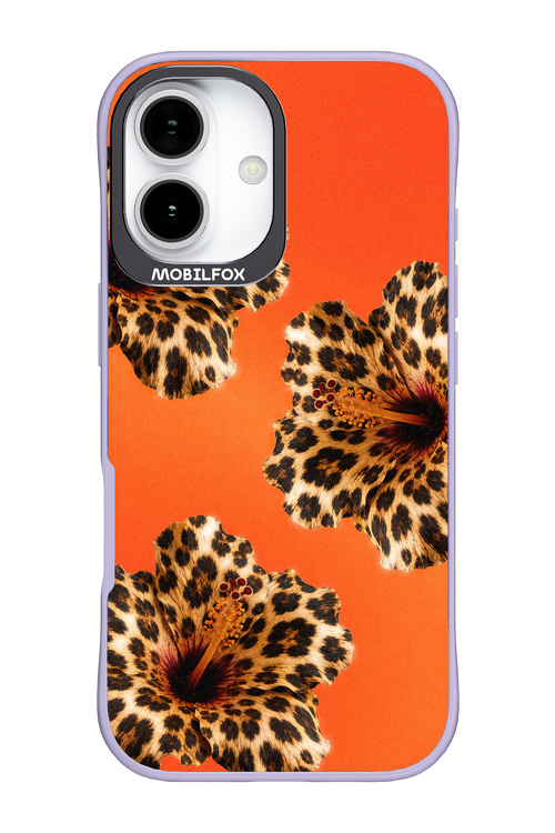 Sun Purr 2.0 - Apple iPhone 17