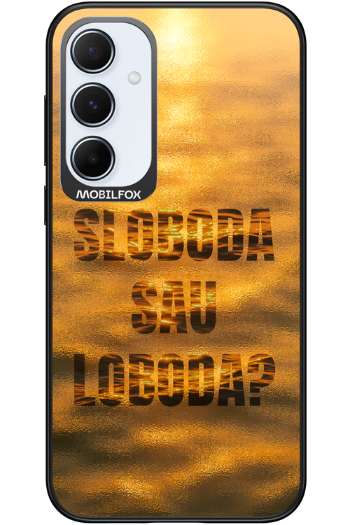 S or L - Samsung Galaxy A55
