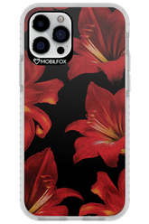 Amaryllis Noir - Apple iPhone 12 Pro