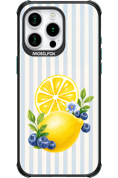 Fresh Flash 2.0 - Apple iPhone 15 Pro Max