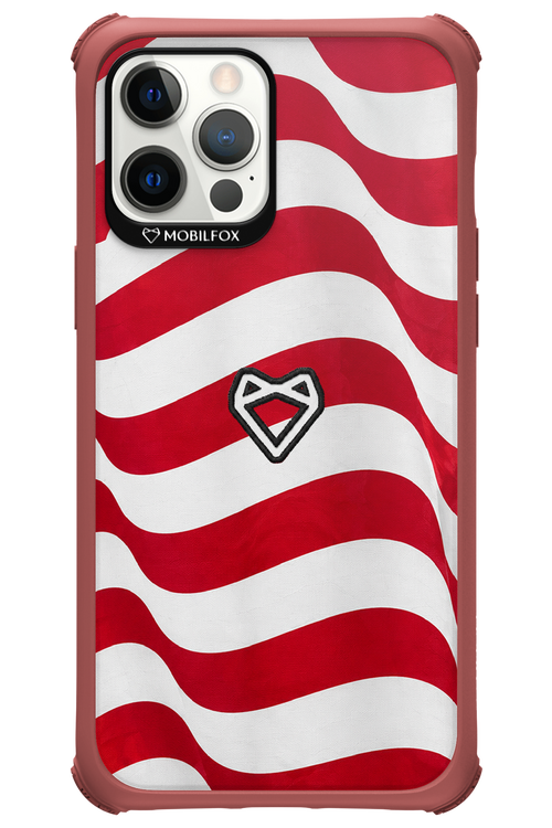 USA 2.0 - Apple iPhone 12 Pro Max