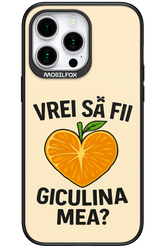 Design Clean 2.0 - Apple iPhone 15 Pro Max