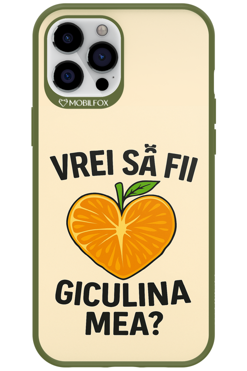 Design Clean 2.0 - Apple iPhone 12 Pro Max