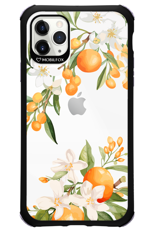 Amalfi Orange 2.0 - Apple iPhone 11 Pro Max