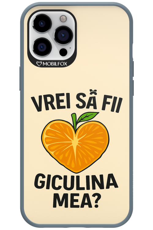 Design Clean 2.0 - Apple iPhone 12 Pro Max