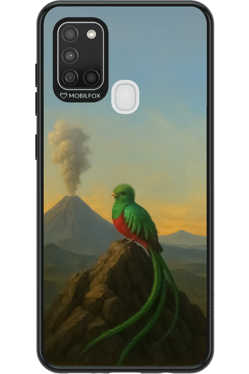 Birdy 2.0 - Samsung Galaxy A21 S