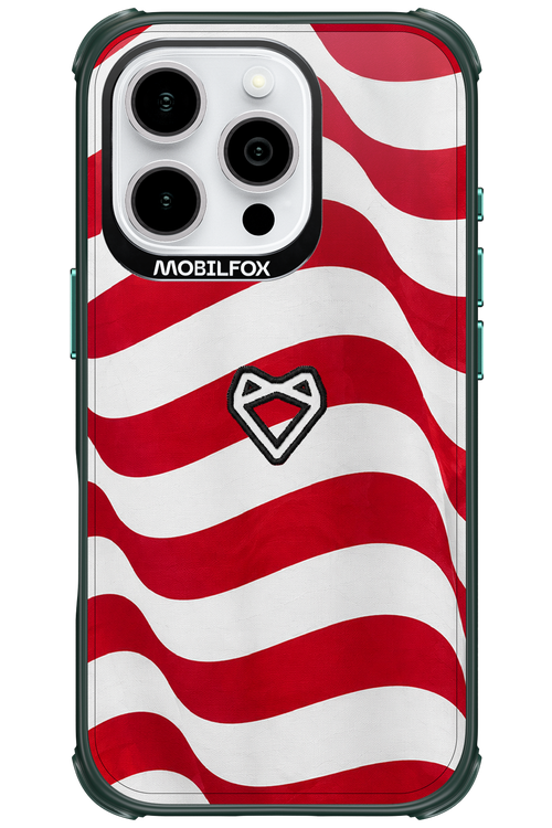 USA 2.0 - Apple iPhone 16 Pro