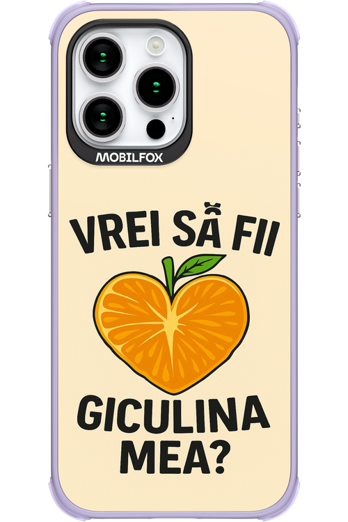 Design Clean 2.0 - Apple iPhone 15 Pro Max