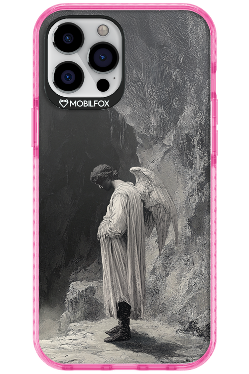 INGER Cover 2.0 - Apple iPhone 12 Pro Max