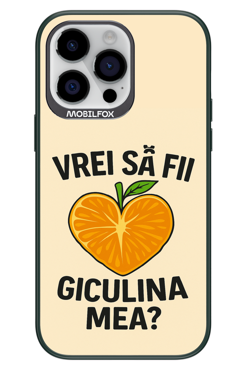 Design Clean 2.0 - Apple iPhone 14 Pro Max
