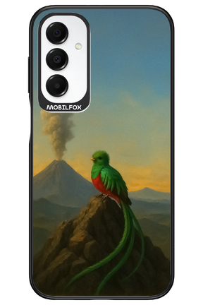Birdy 2.0 - Samsung A16
