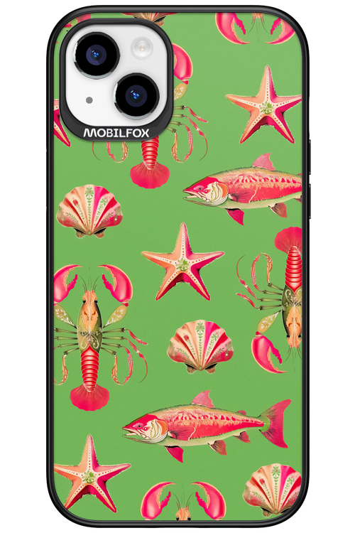 Sea Stars - Apple iPhone 15 Plus