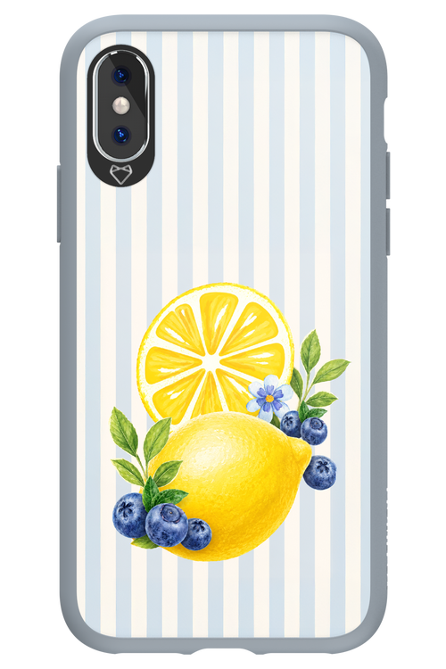 Fresh Flash 2.0 - Apple iPhone X