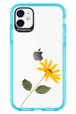 Pressed Flower - Apple iPhone 11