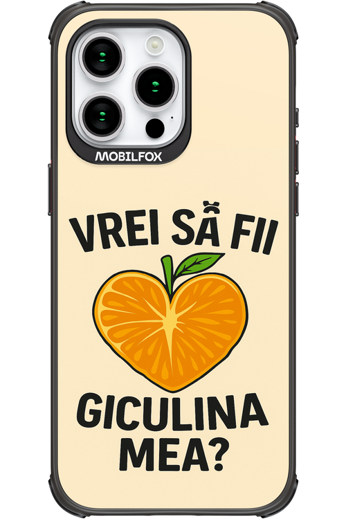 Design Clean 2.0 - Apple iPhone 15 Pro Max