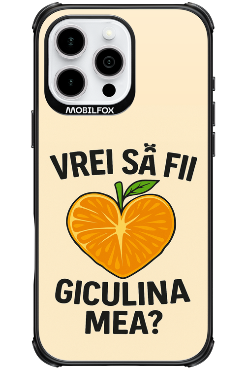 Design Clean 2.0 - Apple iPhone 16 Pro Max