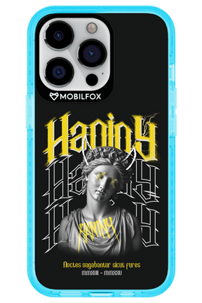 Haniny Icon (black) - Apple iPhone 13 Pro