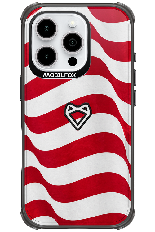 USA 2.0 - Apple iPhone 16 Pro