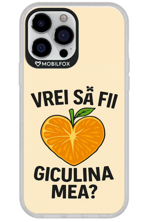 Design Clean 2.0 - Apple iPhone 13 Pro Max