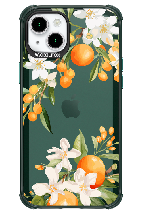 Amalfi Orange 2.0 - Apple iPhone 15 Plus
