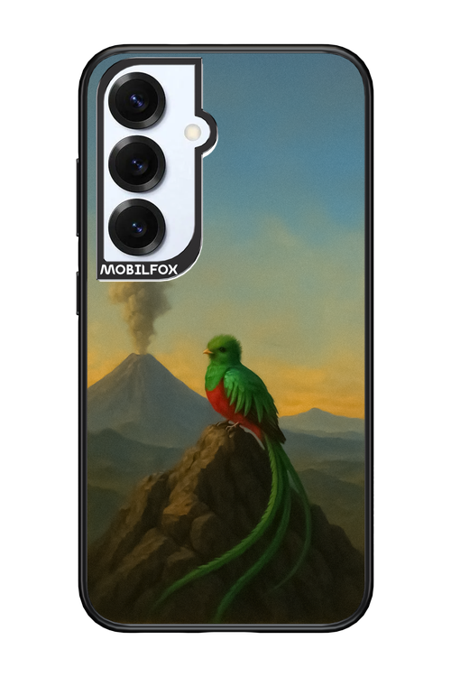 Birdy 2.0 - Samsung S25