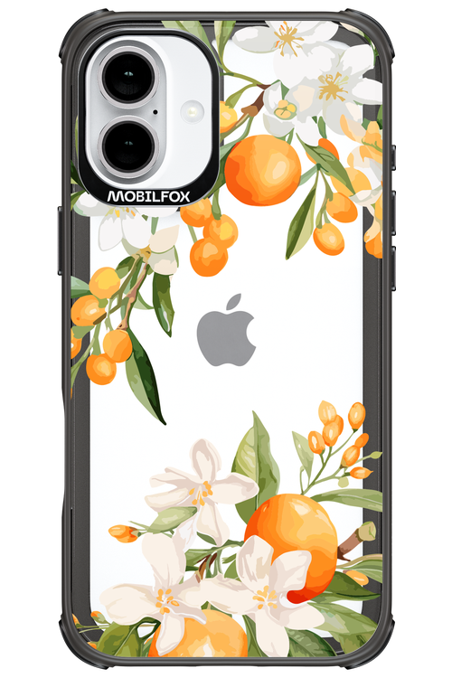 Amalfi Orange 2.0 - Apple iPhone 16 Plus