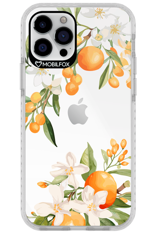 Amalfi Orange 2.0 - Apple iPhone 12 Pro