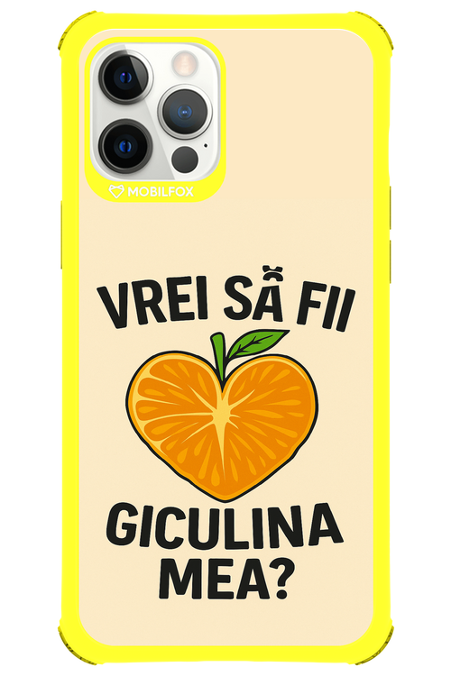 Design Clean 2.0 - Apple iPhone 12 Pro Max