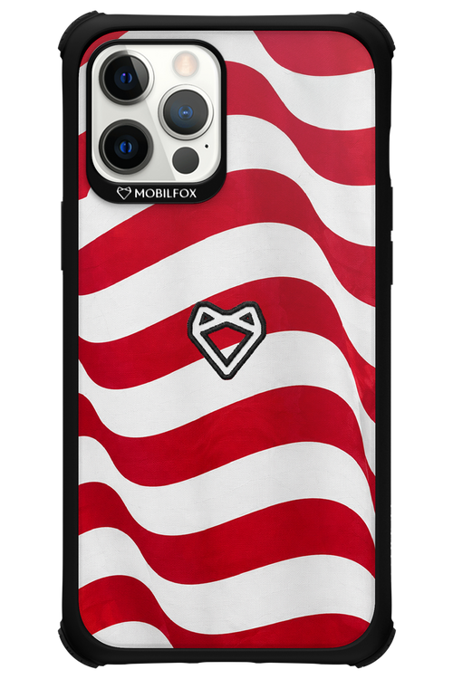 USA 2.0 - Apple iPhone 12 Pro Max