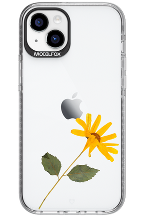 Pressed Flower - Apple iPhone 15 Plus
