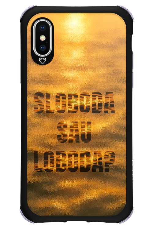 S or L - Apple iPhone X