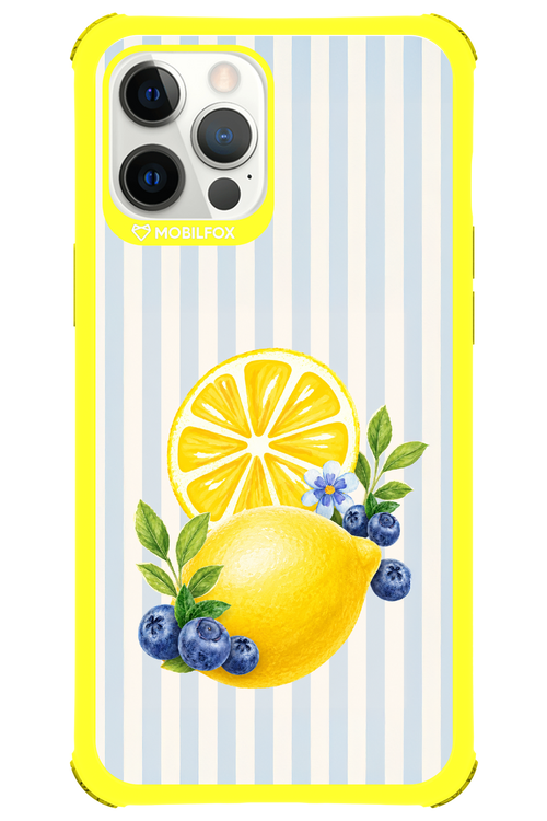 Fresh Flash 2.0 - Apple iPhone 12 Pro Max