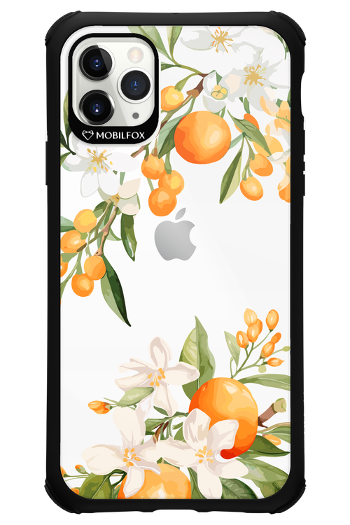 Amalfi Orange 2.0 - Apple iPhone 11 Pro Max