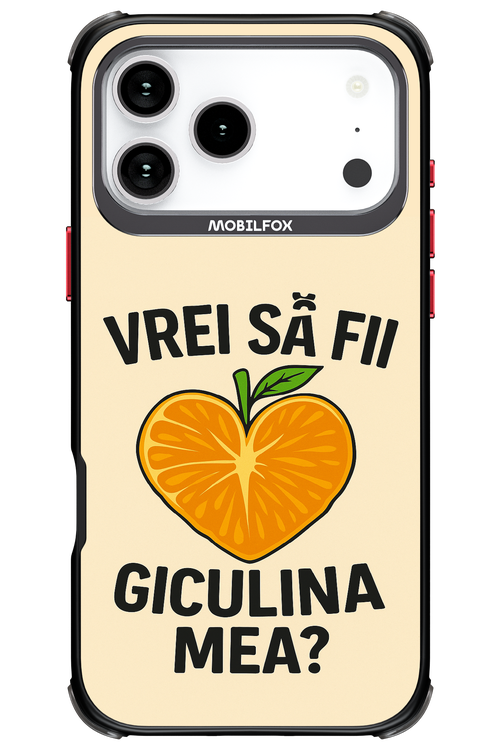 Design Clean 2.0 - Apple iPhone 17 Pro Max